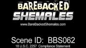 Download Video Bokep Hardcore Bareback Fuck and Suck of A Cute Shemale 3gp online